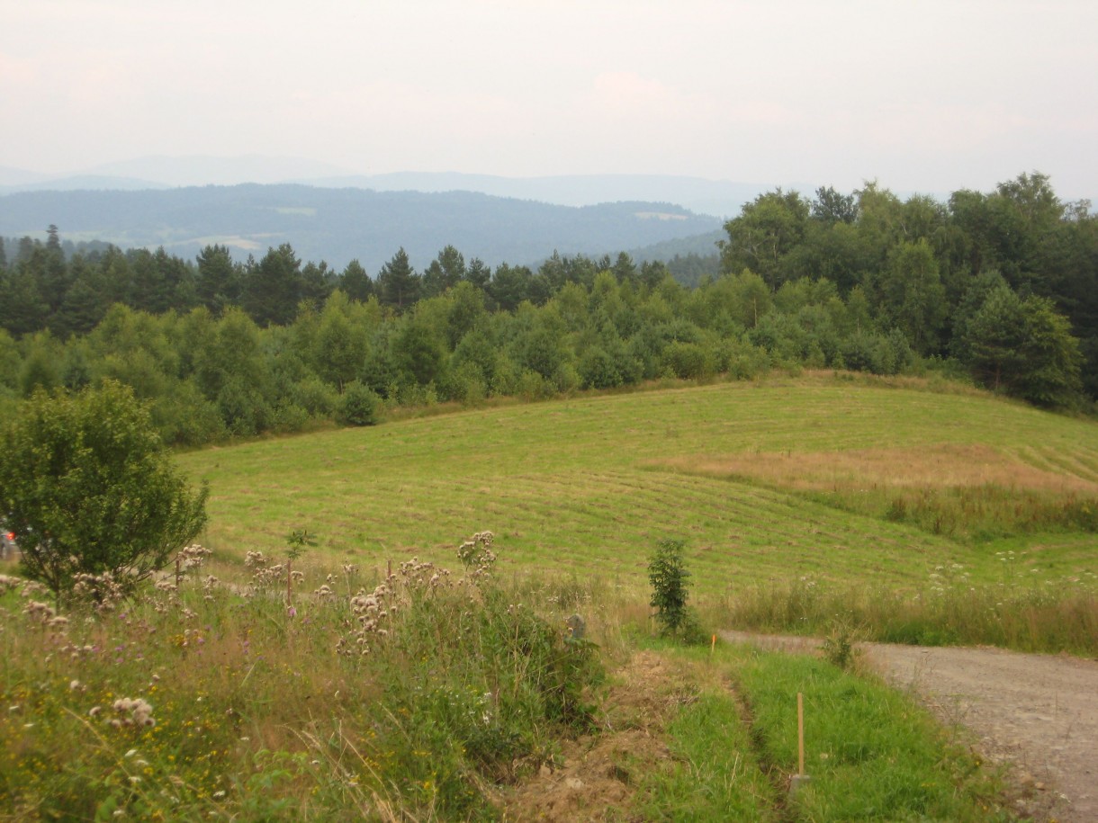 Pozostałe, Z cyklu cudze chwalicie... Bieszczady w moim obiektywie...