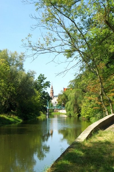 Pozostałe, Czekając na wiosnę