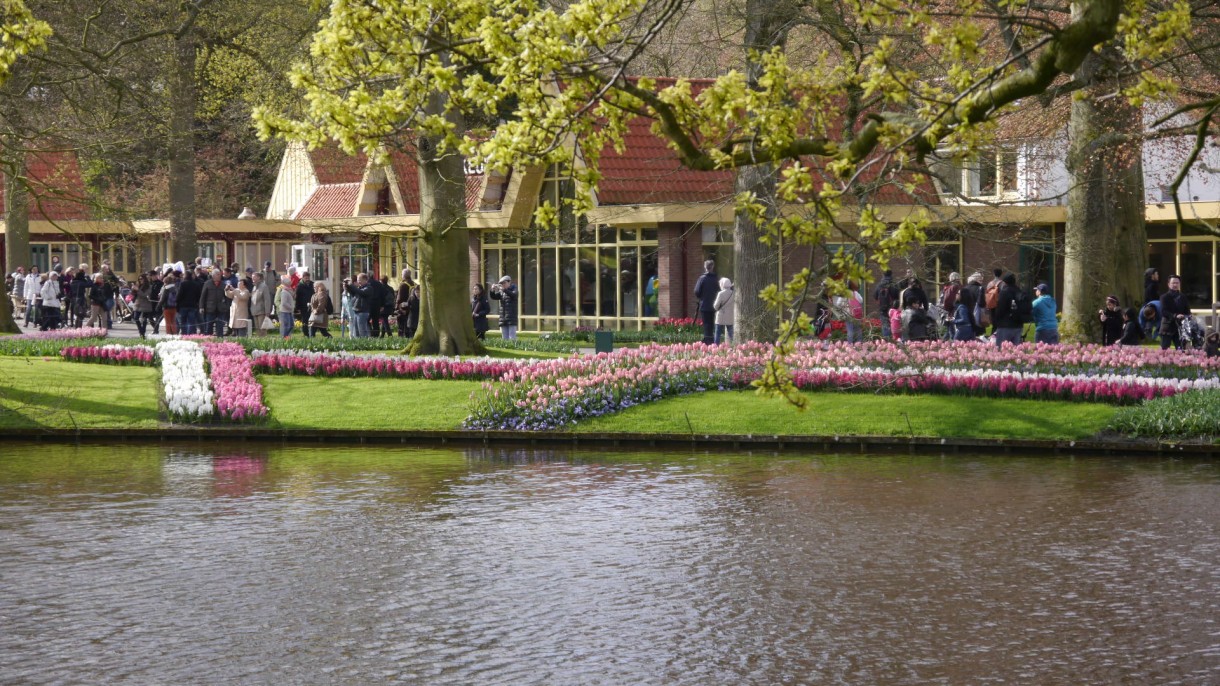 Pozostałe, Keukenhof - Pierwsze dywany kwiatowe