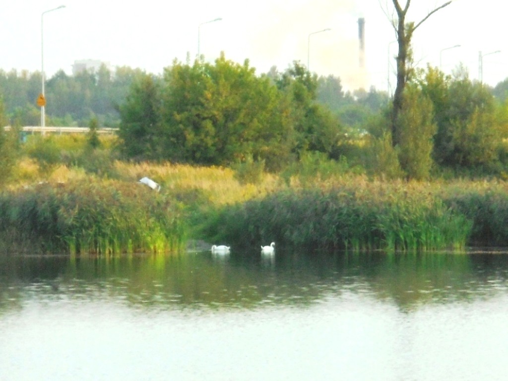 Podróże, ŁOWISKO „BRANTKA”