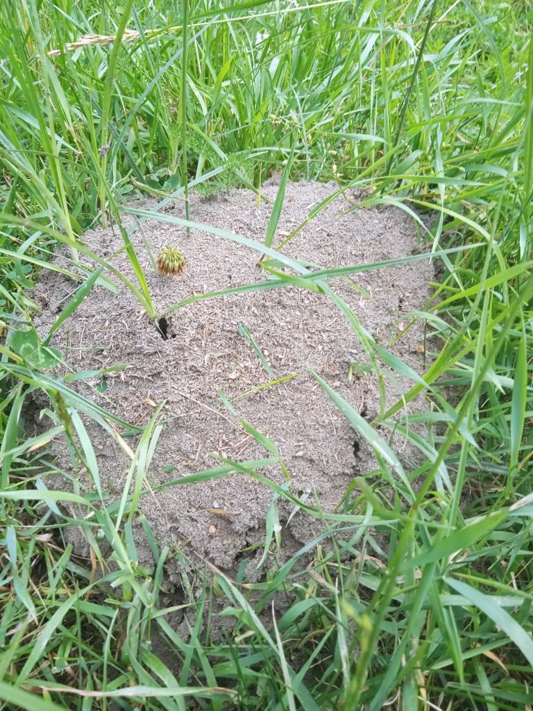 Podróże, UROKI WĄWOZU HOMOLE