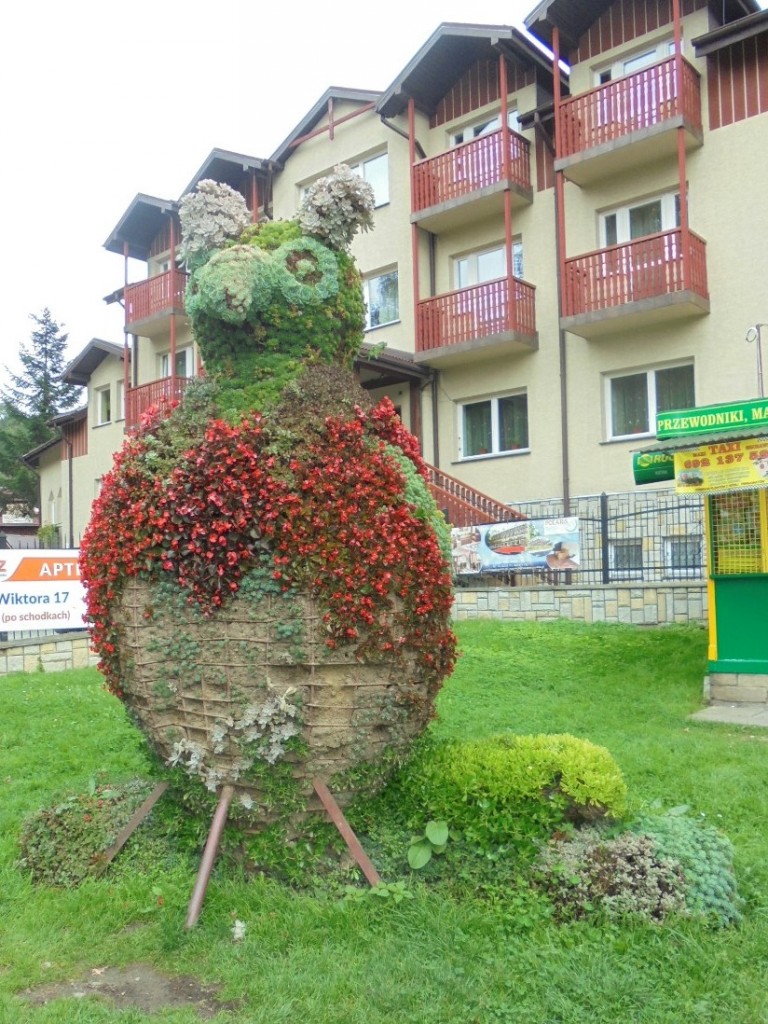 Pozostałe, FLORA i FAUNA  SZCZAWNICKA  - II część