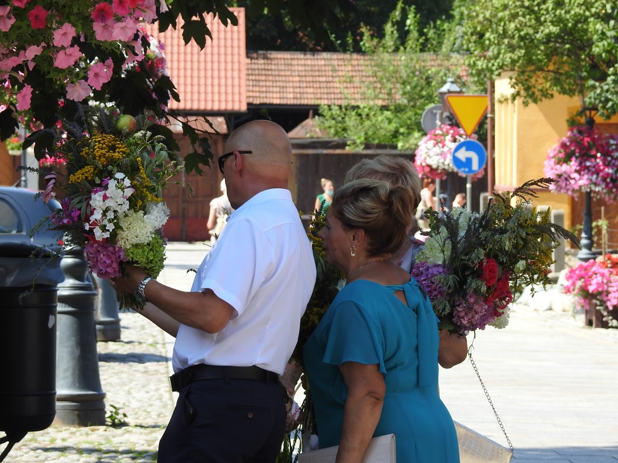 Rośliny, NIEZWYKŁA MOC KWIATÓW I ZIÓŁ