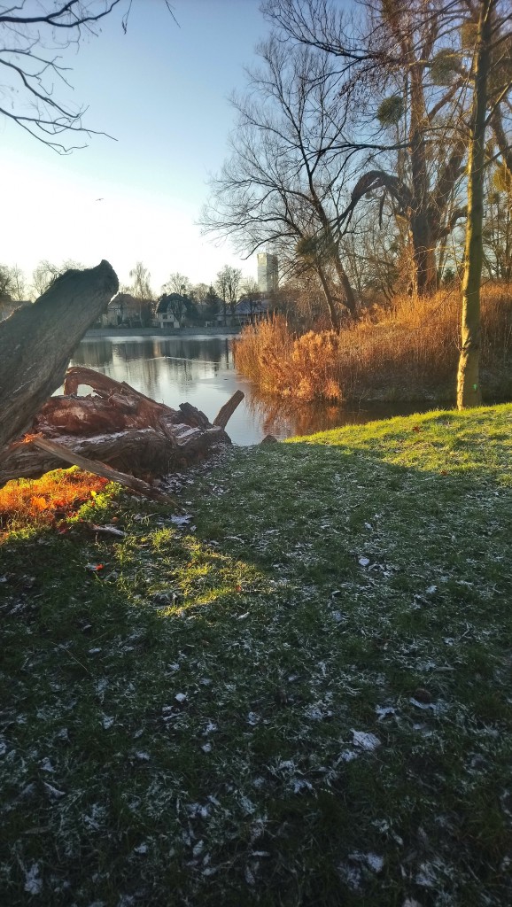 Dekoracje, Styczniowa..........Wszystkiego Najlepszego w Nowym Roku...... - Oby ten rok był wspaniały ...............oby każdy z Was spełniał swoje  marzenia ............Zdrowia , Szczęścia ,  Pomyślności  życzę Wam :)
Zima nad morzem jest piękna :)