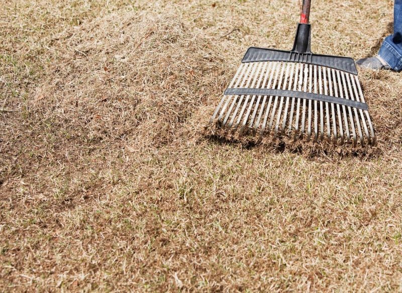 Wiosenne wygrabianie pomaga w pozbyciu się z trawnika zalegających roślin.