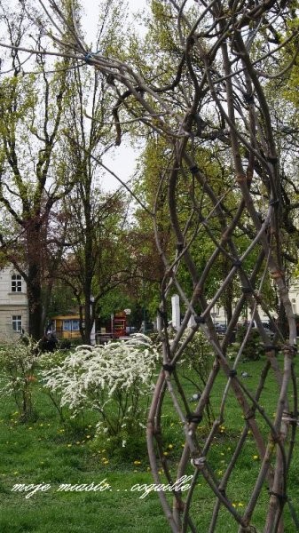 Rośliny, Trochę oddechu...na świeżym powietrzu:)