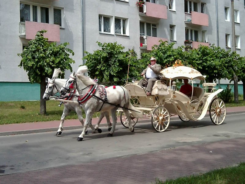 Pozostałe, czym do ślubu