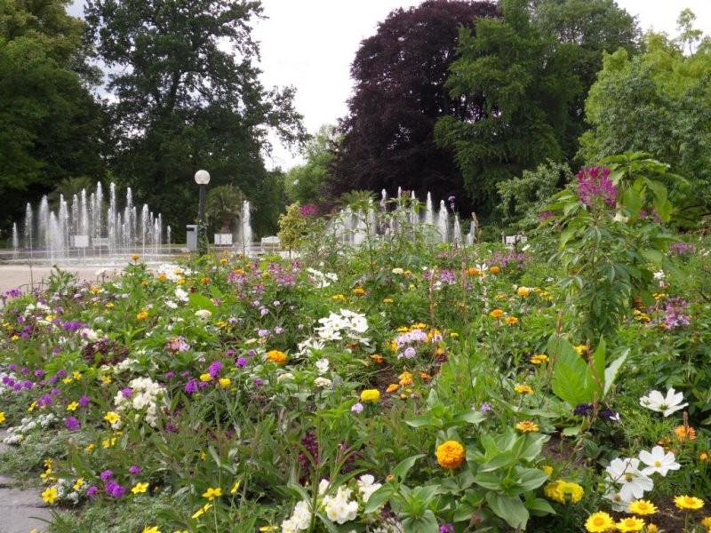 Pozostałe, Ogrod botaniczny