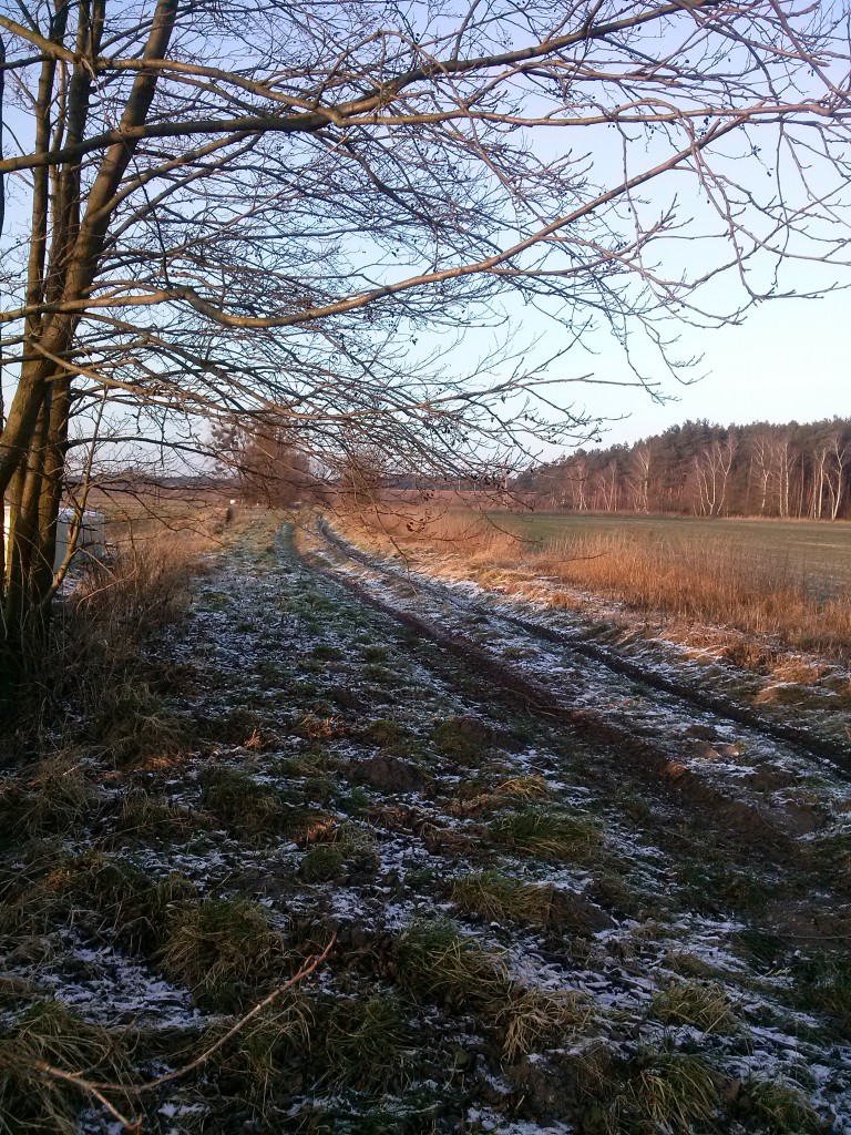 Pozostałe, Moje świętowanie... - spacer do lasku...poszukiwanie zimy