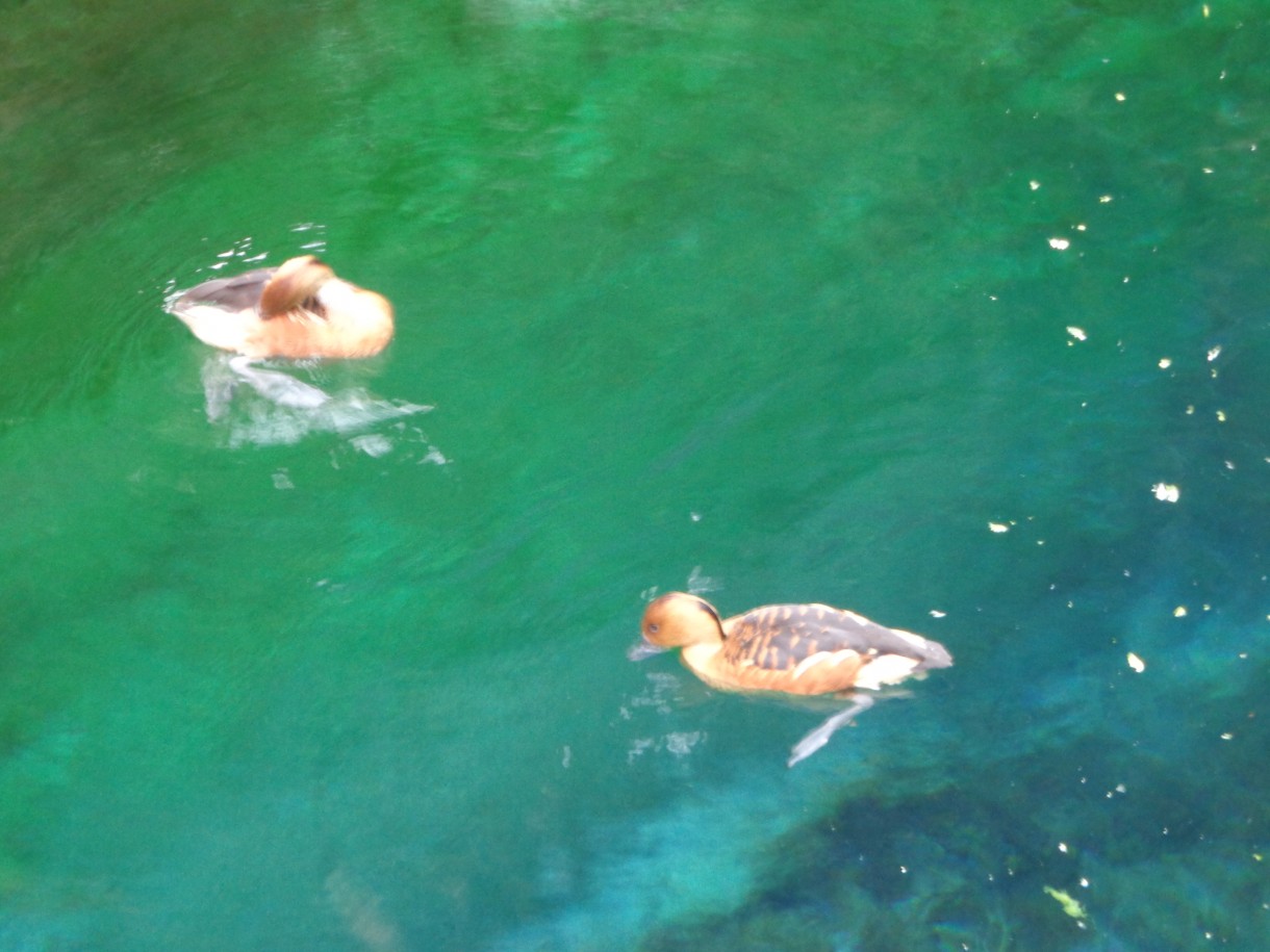 Pozostałe, AFRYKARIUM  ZOO Wrocław