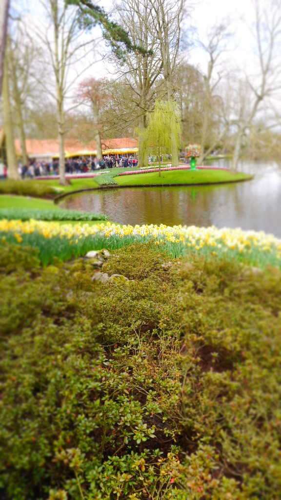 Pozostałe, Keukenhof