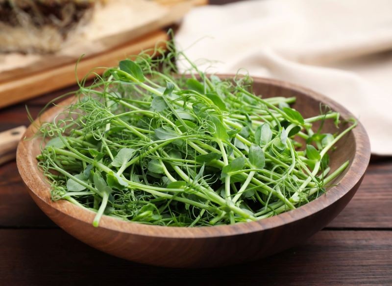 Jak wykorzystać mikrolistki groszku wąsatego w kuchni?