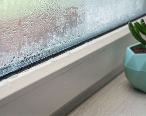 Miska z solą i kilka liści laurowych. To najskuteczniejszy sposób na powszechny, zimowy problem