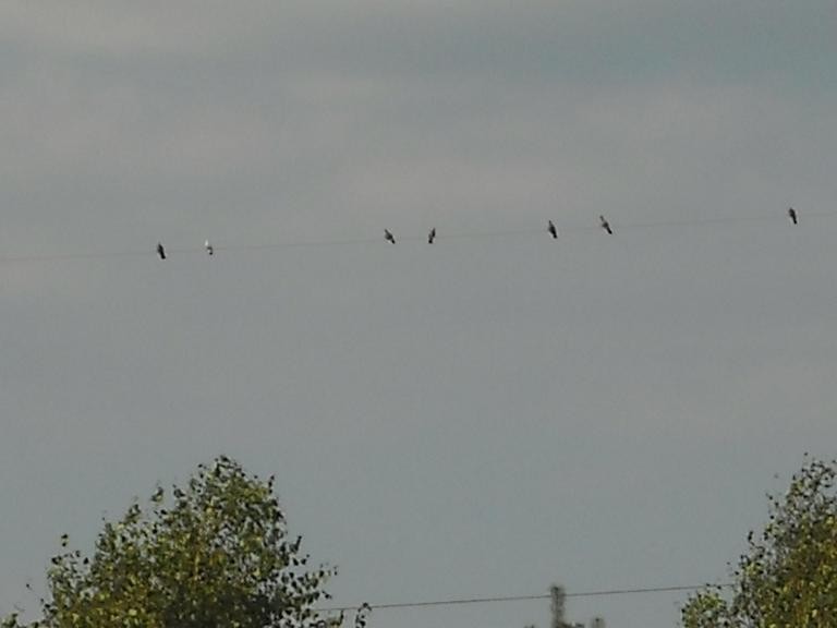 Pozostałe, Wiejskie klimaty czyli weekend na wsi...........