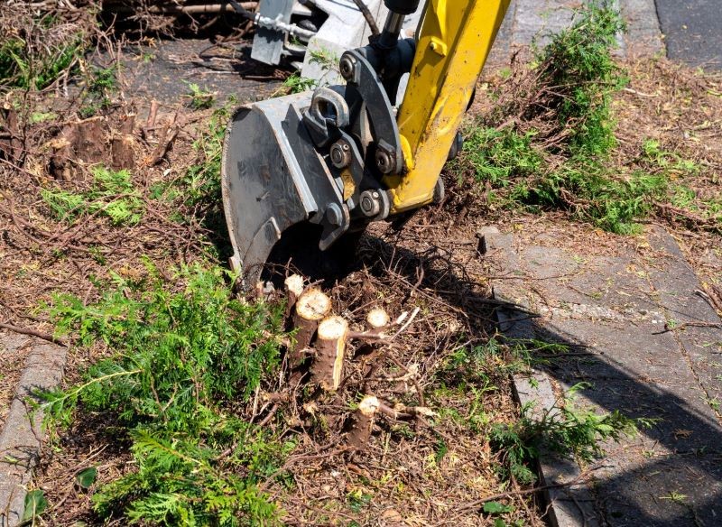 Usunięcie pnia drzewa koparką sporo kosztuje i może się nie sprawdzić w małym ogrodzie.