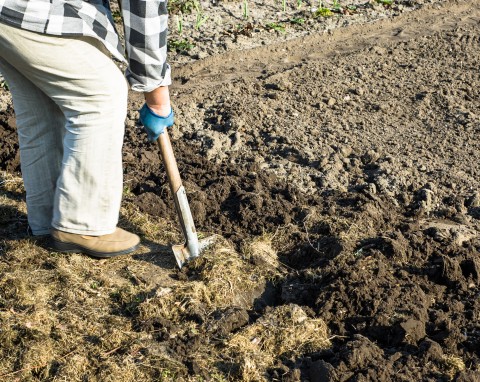 Zadbaj o ziemię na wiosnę. Przekopywanie gleby lekkiej, średniej i ciężkiej