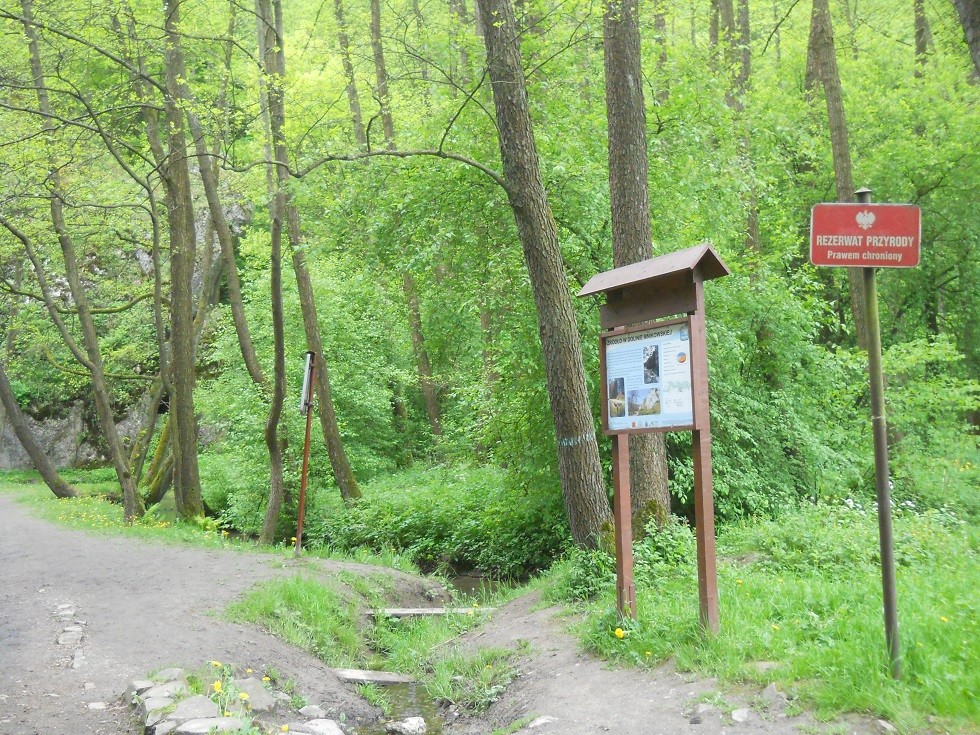 Podróże, Dolina Mnikowska, wycieczka spacerowo - wyczynowa:) - Bardzo szybko szlak doprowadza do źródełka, z którego wody uchodzą do wijącej się tuż Sanki.