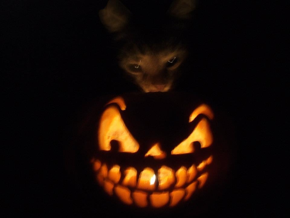 Pozostałe, Halloween