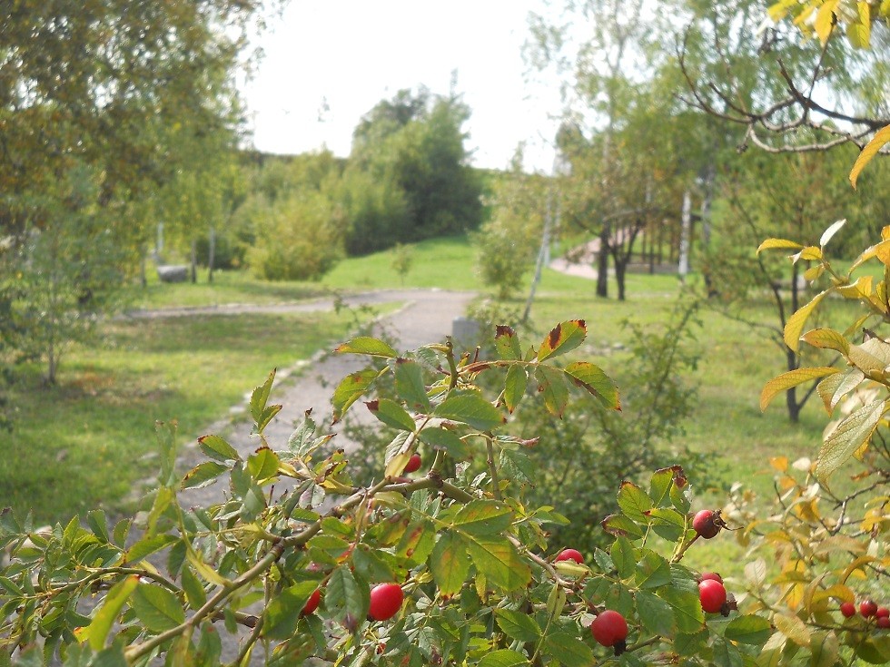 Schody i ścieżki