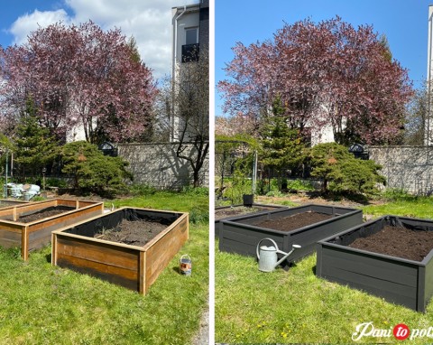 Budujemy ogródek warzywny… od deski do deski