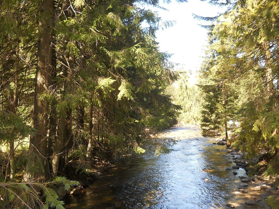 Pozostałe, Zakopane w foto - pigułce. Część piąta: Dolina Kościeliska. - ...i wybrał się w długą podróż, aż do morza samego.