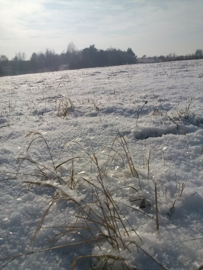 Pozostałe, Bo idzie grudzień...a bardzo jest wymagający.