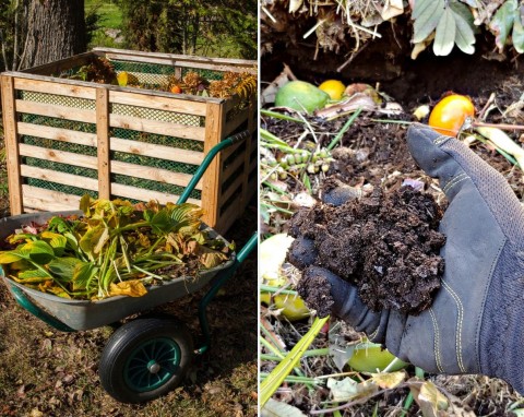 Kompost ciepły czy zimny – który jest lepszy? Do czego używać, wady i zalety stosowania