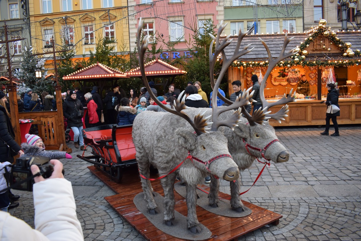 Podróże, "KOLOROWE JARMARKI " WROCŁAW