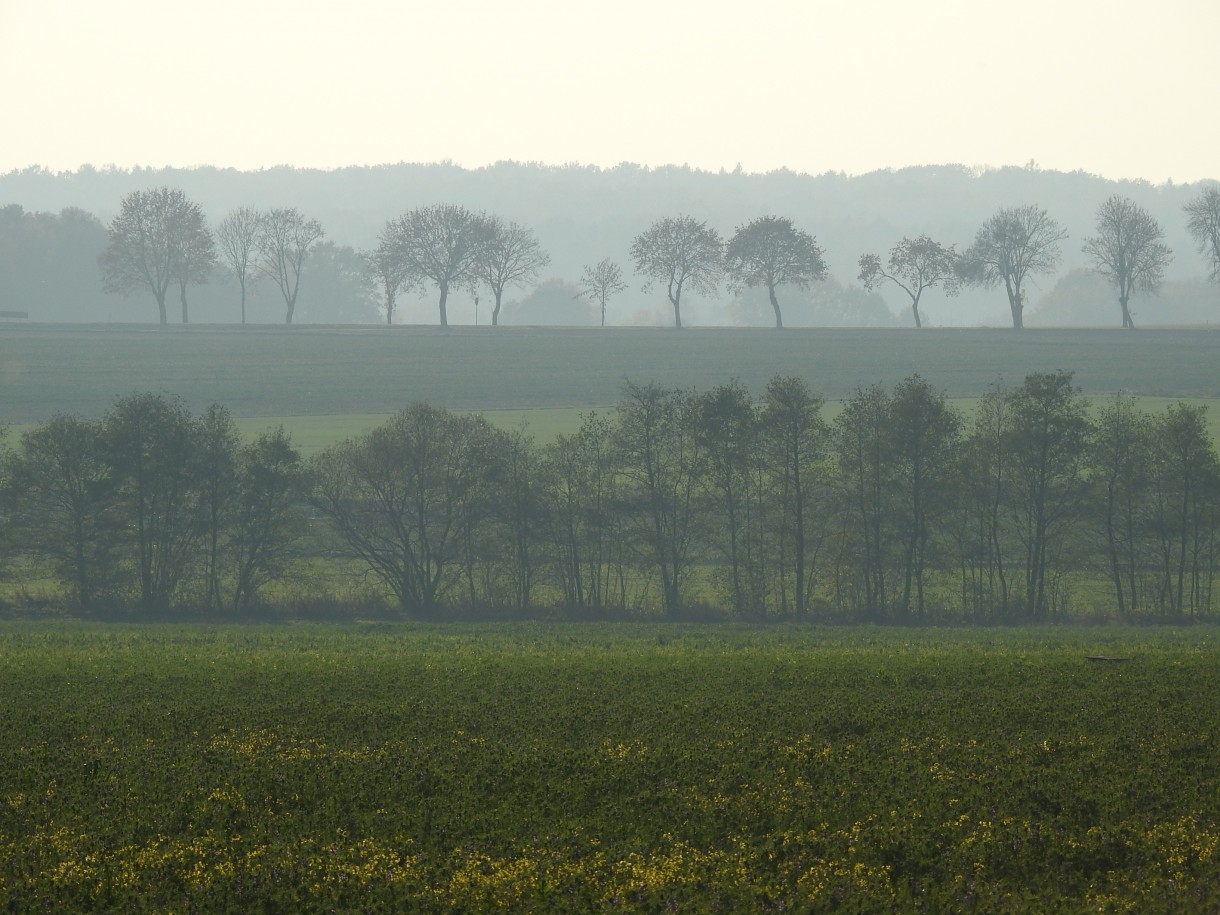 Leśne klimaty, W JESIENNYM NASTROJU...