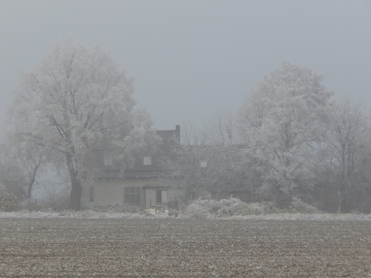 Leśne klimaty, WINTER ART ...