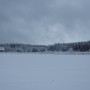 Leśne klimaty, ZIMOWA BAJKA  :)