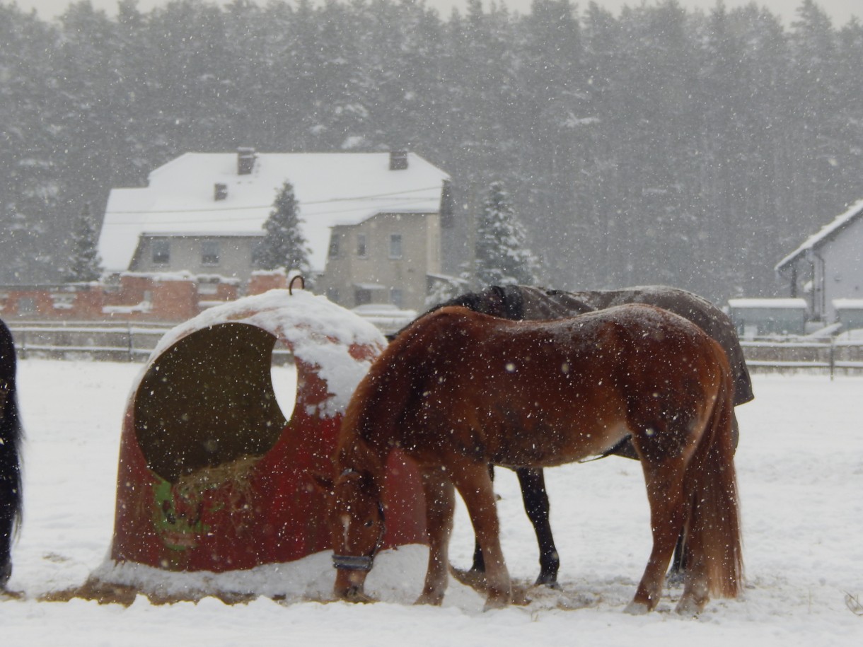 Leśne klimaty, OTULĘ CIĘ  :)