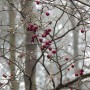 Leśne klimaty, WINTER ART ...