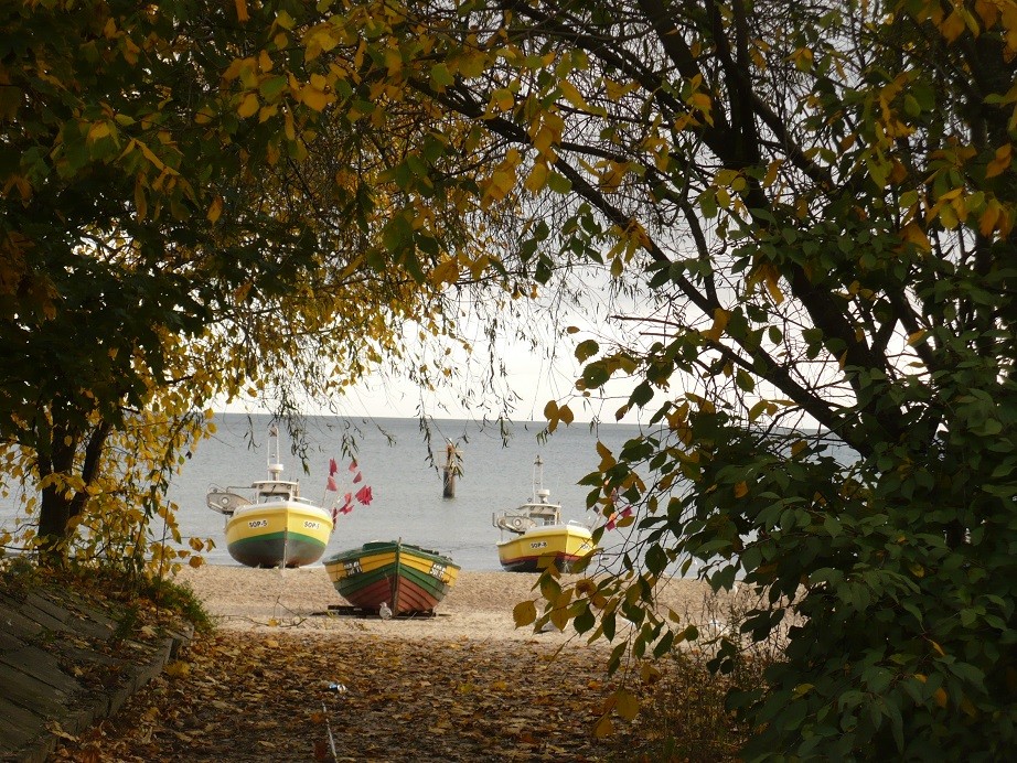 Rośliny, Złoto jesieni i moje zielone bombki..... - ..................i kutry na plaży.............