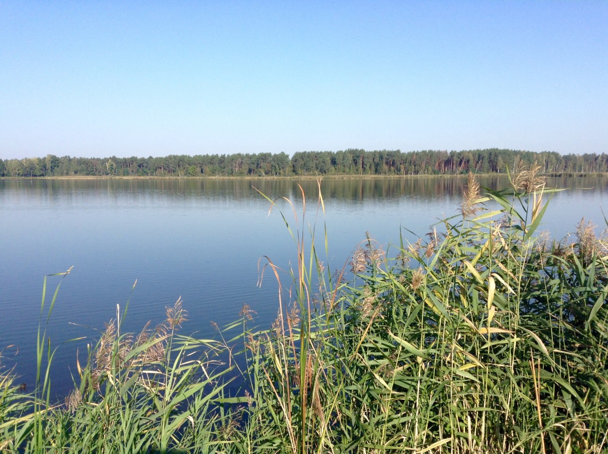 Leśne klimaty, No i mamy jesień.. - Na jeziorach już cisza...