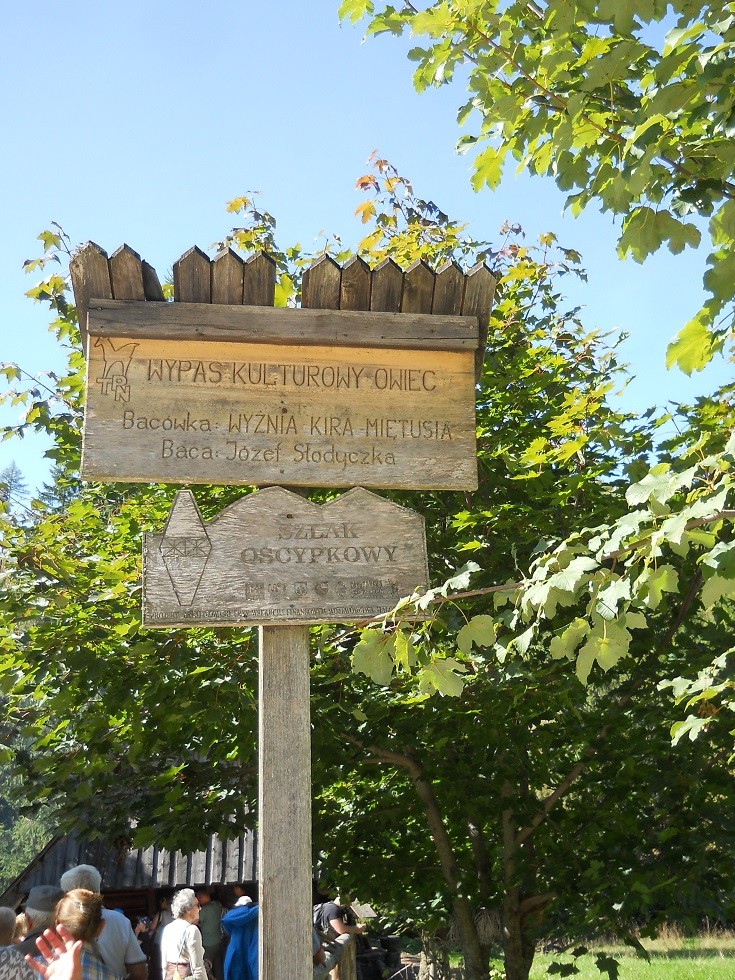 Pozostałe, Zakopane w foto - pigułce. Część piąta: Dolina Kościeliska. - ..i jest.Bacówka, szlak oscypkowy. Drewniana tabliczka głosi, że na tych terenach odbywa się kulturowy wypas owiec. Jest prowadzony po to, by utrzymać roślinność tu występującą. Bez owieczek rośliny nie przetrwałyby,  pozanikałyby, a polany zaczęły porastać krzewami. Gdyby nie wypas owieczek, po krokusach nie byłoby już śladu.