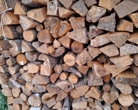 Nowy trend w ogrzewaniu domu. Drewno, które pali się równie dobrze jak buk i dąb, a mniej kosztuje