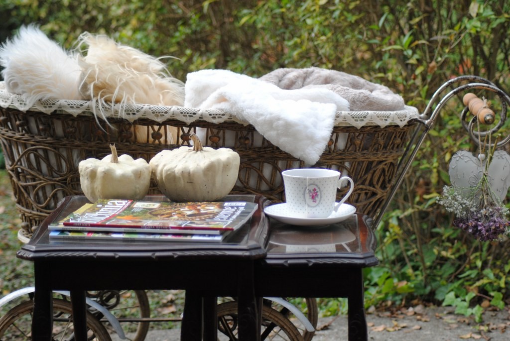 Pozostałe, Podsumowanie roku :) - Ciepły tegoroczny listopad pozwolił nawet na herbatkę w ogrodzie :) 