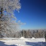 Pozostałe, zimowe klimaty - .