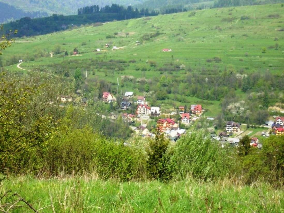 Podróże, DZIKA  FLORA  I  FAUNA  SZCZAWNICY - WIDOK Z PALENICY