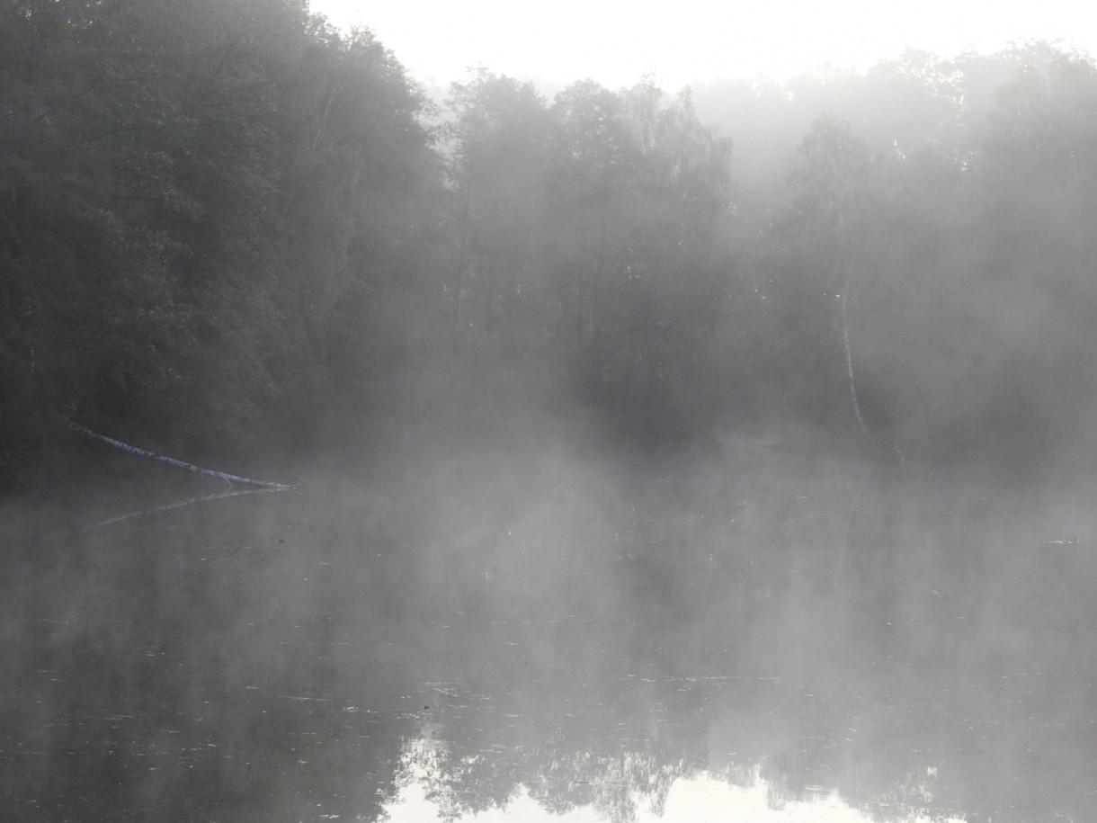 Leśne klimaty, JESIEŃ...JAK ZACZAROWANA