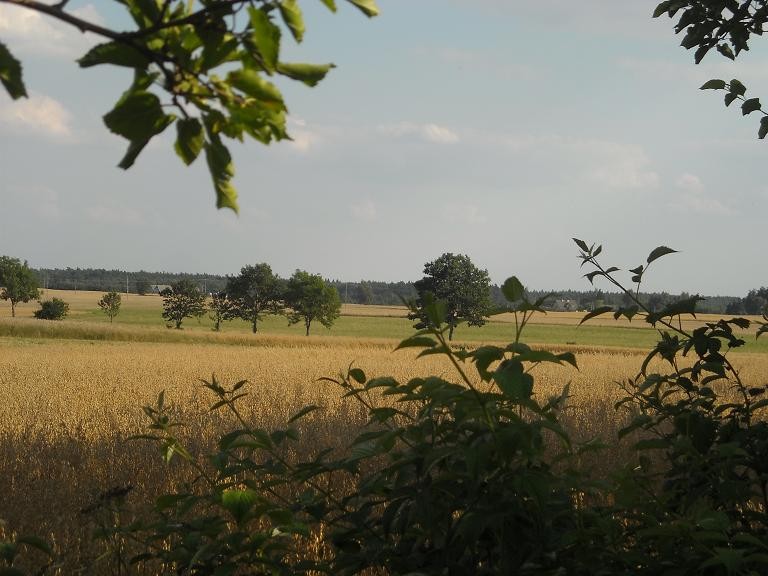 Pozostałe, Wiejskie klimaty czyli weekend na wsi...........