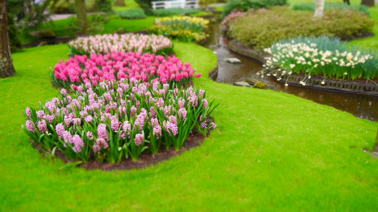 Pozostałe, Keukenhof