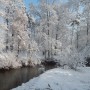 Leśne klimaty, ZIMOWA BAJKA  :)