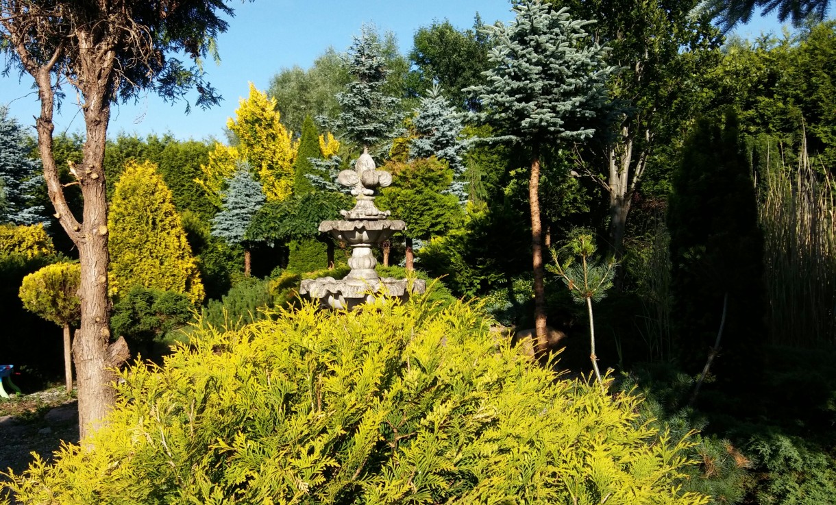 Rośliny, Powiew lata