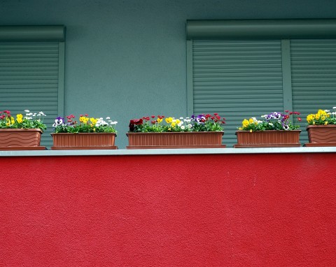 Piękny balkon na lato. Jakie rośliny wybrać?