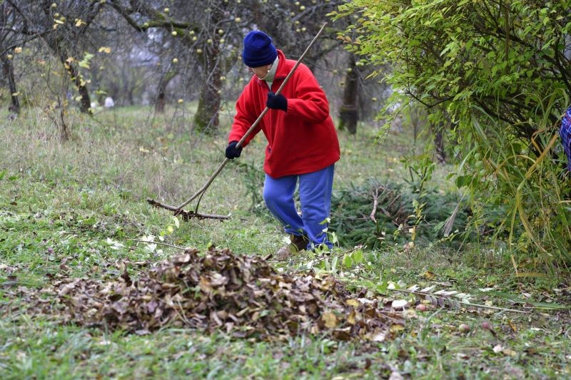 Jesienne liście można wykorzystać na wiele sposobów.