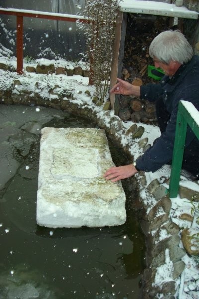 Ogród, Ubiegła zima 2009/2010 - ... a teraz czas położyć styropian aby woda nie zamarzła pod nim (idealne rozwiązanie) - jak ma się ryby