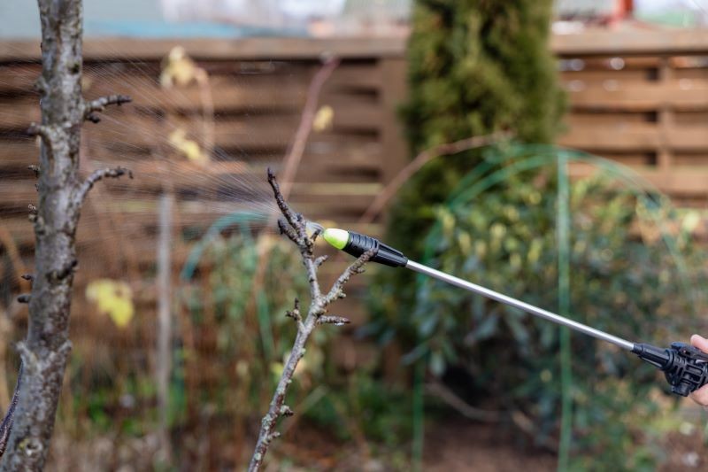 Oprysk olejem parafinowym uznawany jest za ekologiczny.