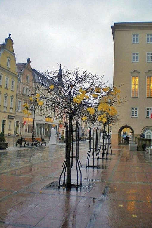 Pozostałe, Spacerkiem po Opolu - rynek jesienny